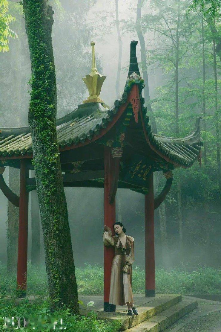 逃离金刚鹦鹉森林