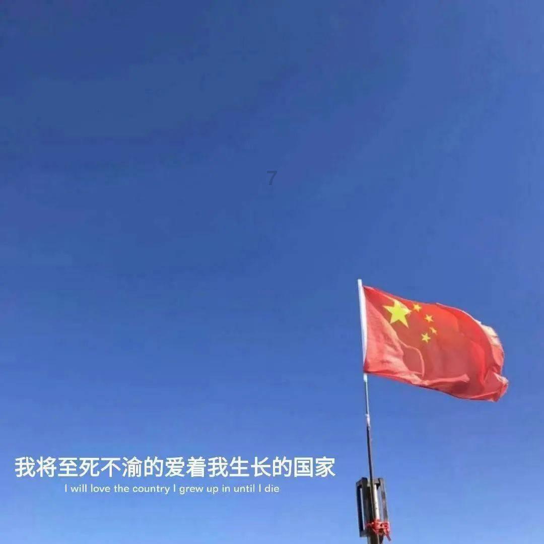 探探猫历险记2