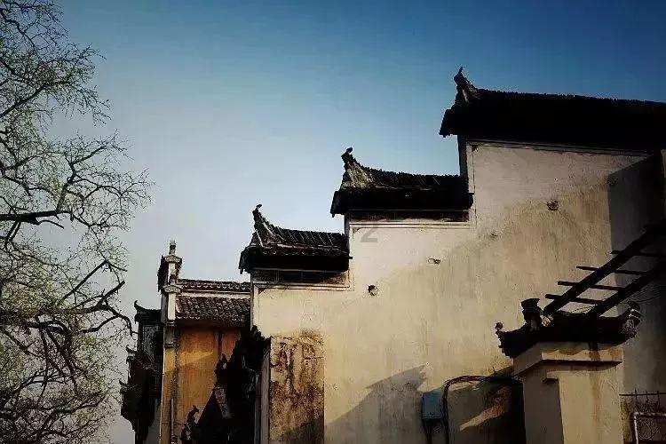 爷爷和我差49岁我19岁爷爷多大?——分享冷知识的平台