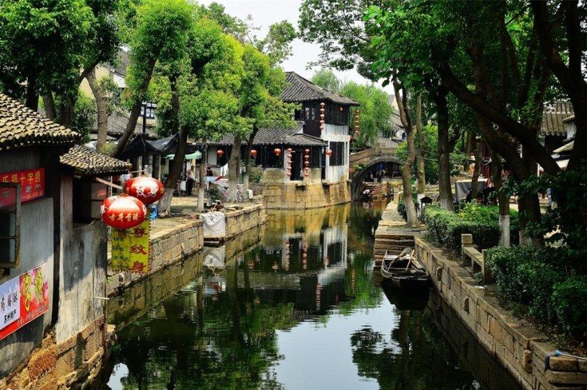 饥饿的松鼠救援